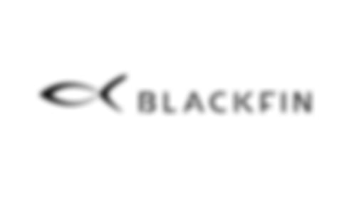 Brillen BLACKFIN