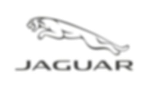 Brillen JAGUAR