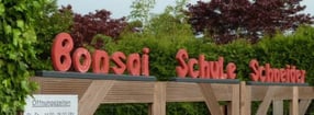 Aktuell | Bonsai-Schule Schneider - Bonsai und Gehölzraritäten aus Odenthal-Scheuren