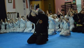 Impressum | Ninjutsu Leipzig - Goshinkan Ninja Clan