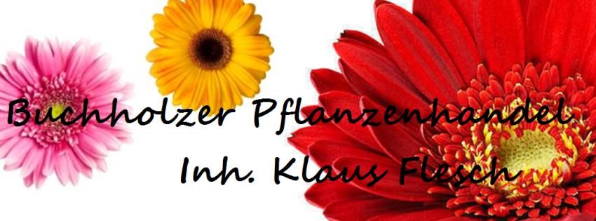 Blumen-Klaus in Bildern | Blumen-Klaus