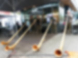 Herbstmarkt Bruchsal mit Alphörner der Badischen