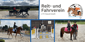 Anmelden | LTV Gauerstadt - Reit- und Fahrabteilung