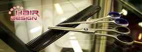 Aktuell | Salon Hair Design Magdeburg