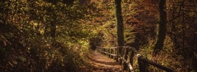 Impressum | Willi Schubert PhotoArt