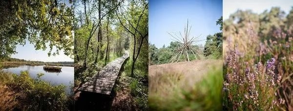 Symbolbild Naturschutzgebiete