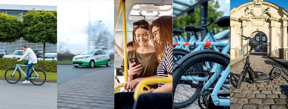 Segway Stadtführung Tabakführung Büffel Alpaka Wanderung