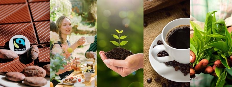 Collage Fairtrade