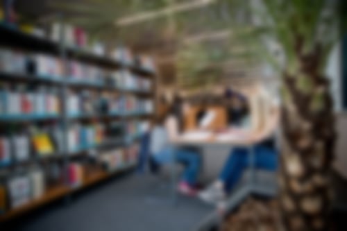 Ahaus Wochenmarkt Stand Obst Gemüse