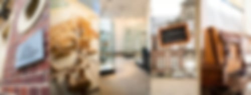 Symbolbild Ahauser Museen