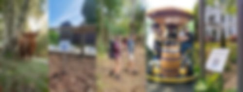 Symbolbild digitaler Stadtrundgang