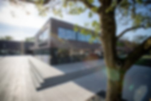 Ahaus Wochenmarkt Stand Obst Gemüse