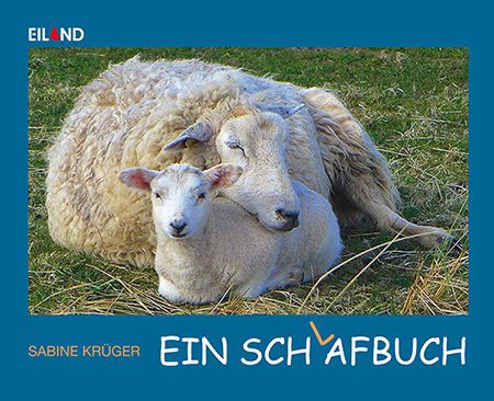 Ein Sch(l)afbuch | Sabine Krüger
