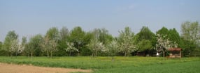 Termine | Obst- und Gartenbauverein Mering e. V.