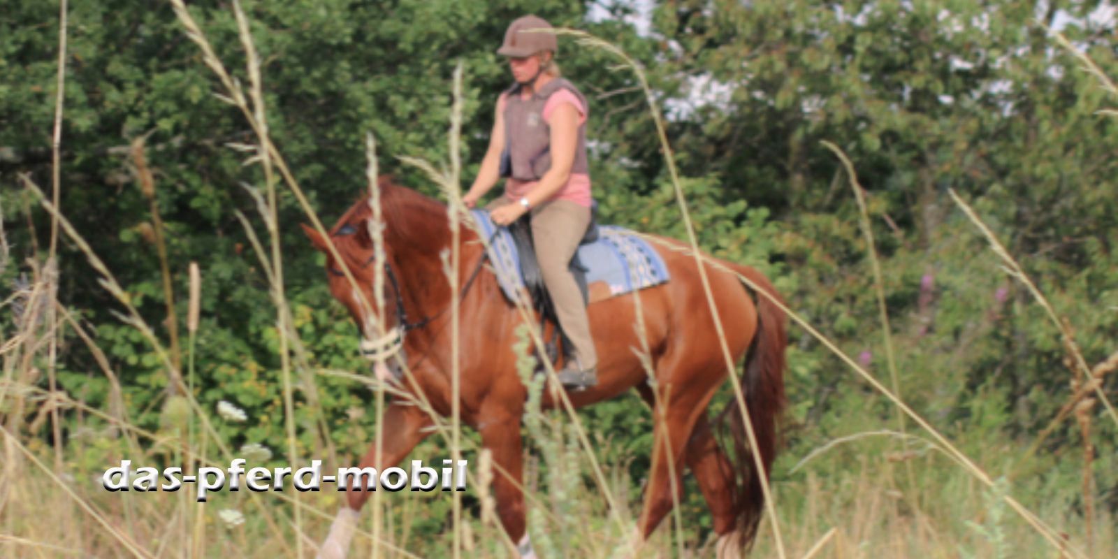 das-pferd-mobil