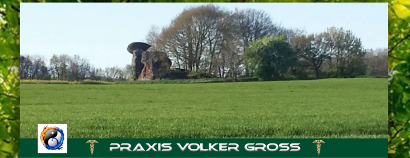 Praxis Volker Gross
