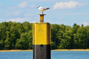 Anmelden | Eichhorst - Schorfheide
