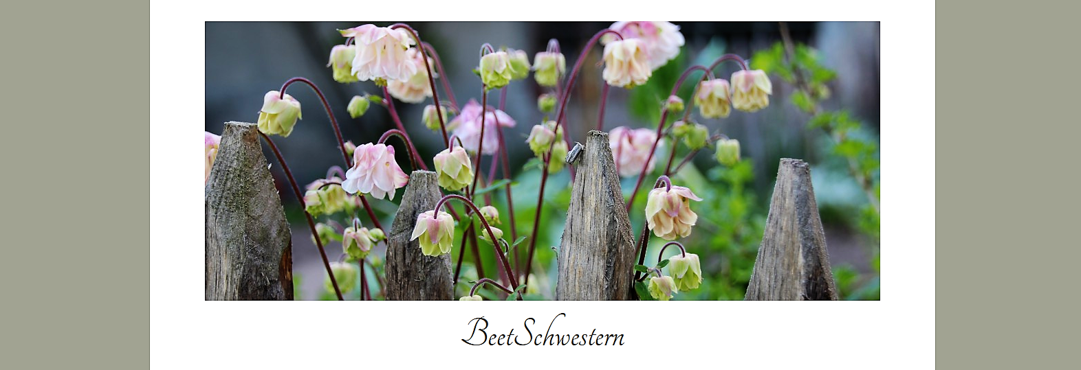 Impressum | BeetSchwestern - Garten Blog
