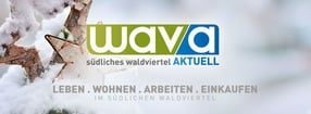 Webcam | Wava 2.0