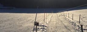 Aktuell | Skiclub Oberliezheim