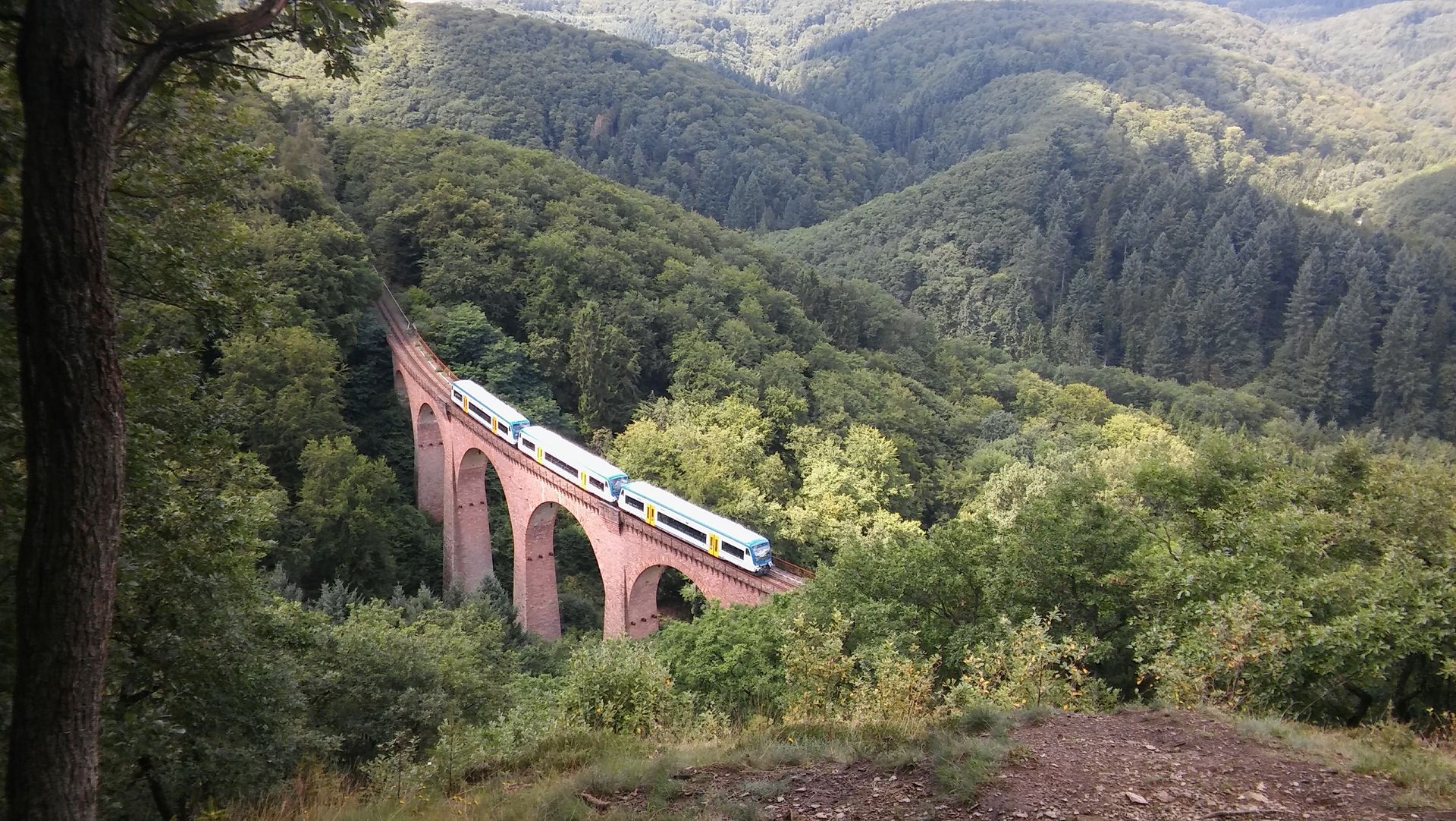 Chronik | IG Nationalparkbahn Hunsrück-Hochwald