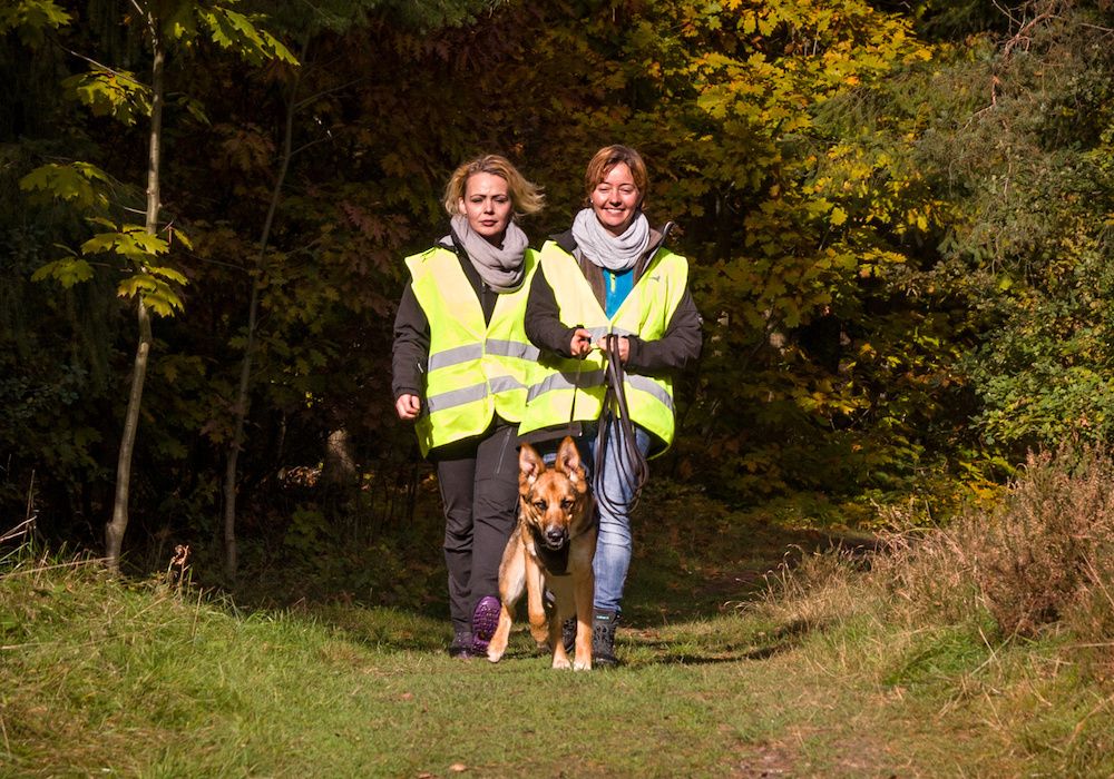 Mantrailing | Hundeschule Canis
