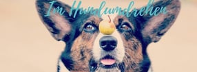 Kalender | Im Hundumdrehen - Hundetraining nach Maß - Hundeschule