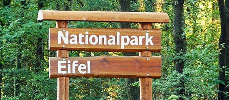Nationalpark Eifel | Der Eifelyeti