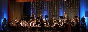 Impressum | Musikverein Altdorf e.V.