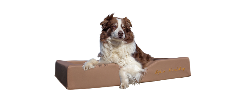 Sylter Fonticulus | Sylter Hundeshop