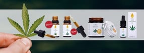Termine | Natura-Vitalis-Dortmund