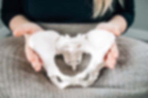 Geburtsvorbereitung, Darstellung des Menschlichen Beckens