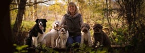Impressum | Hundeausbildungszentrum Emsland HAZE