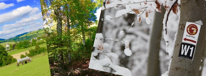 Grafschaft in Bildern - Bilder & Impressionen