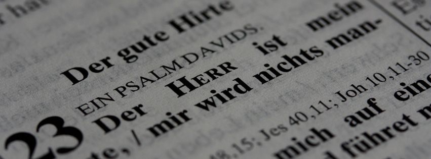 Neuigkeiten | CSV-Verlag
