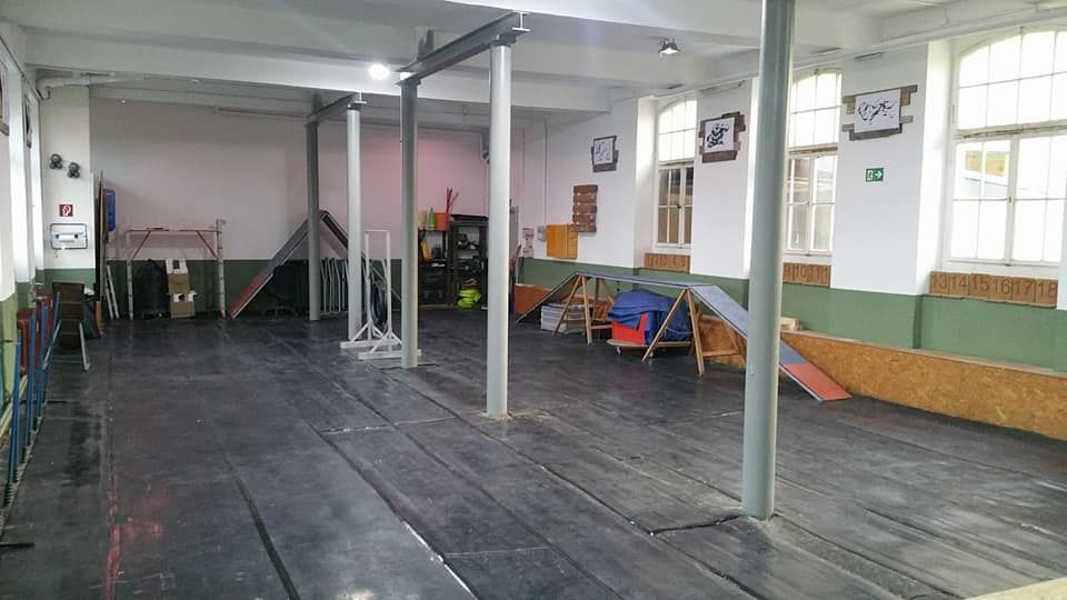 Indoor Hundeausbildung