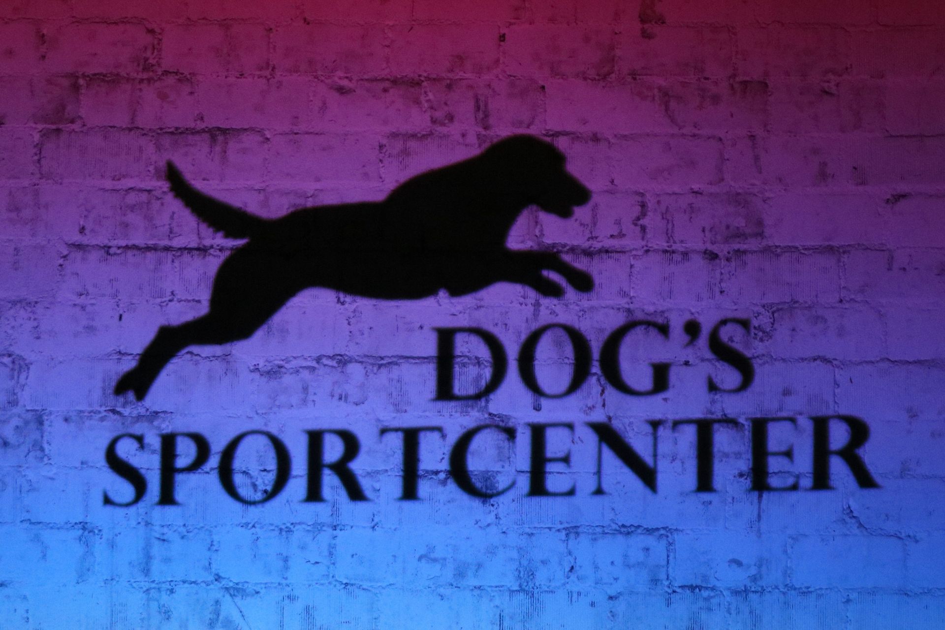 Das Team | Dog's Sportcenter by Kai Dahlhaus