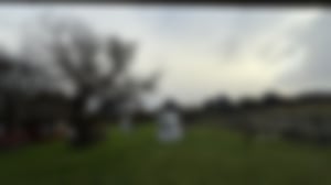 Blick in den Garten aus dem Wohn-Schlaf und Essbereich