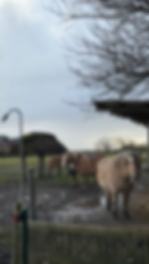 Blick aus dem Schlafzimmer