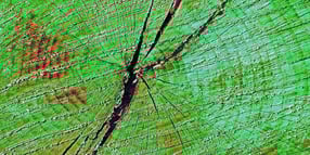 Anmelden | Ralf Sempf Fotokunst