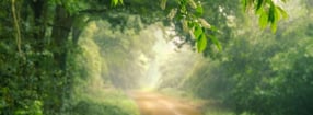 Anmelden | Heimat Niederrhein