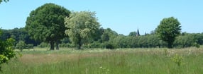 Anmelden | Aukruger Visionen