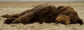 Impressum | strandurlaub