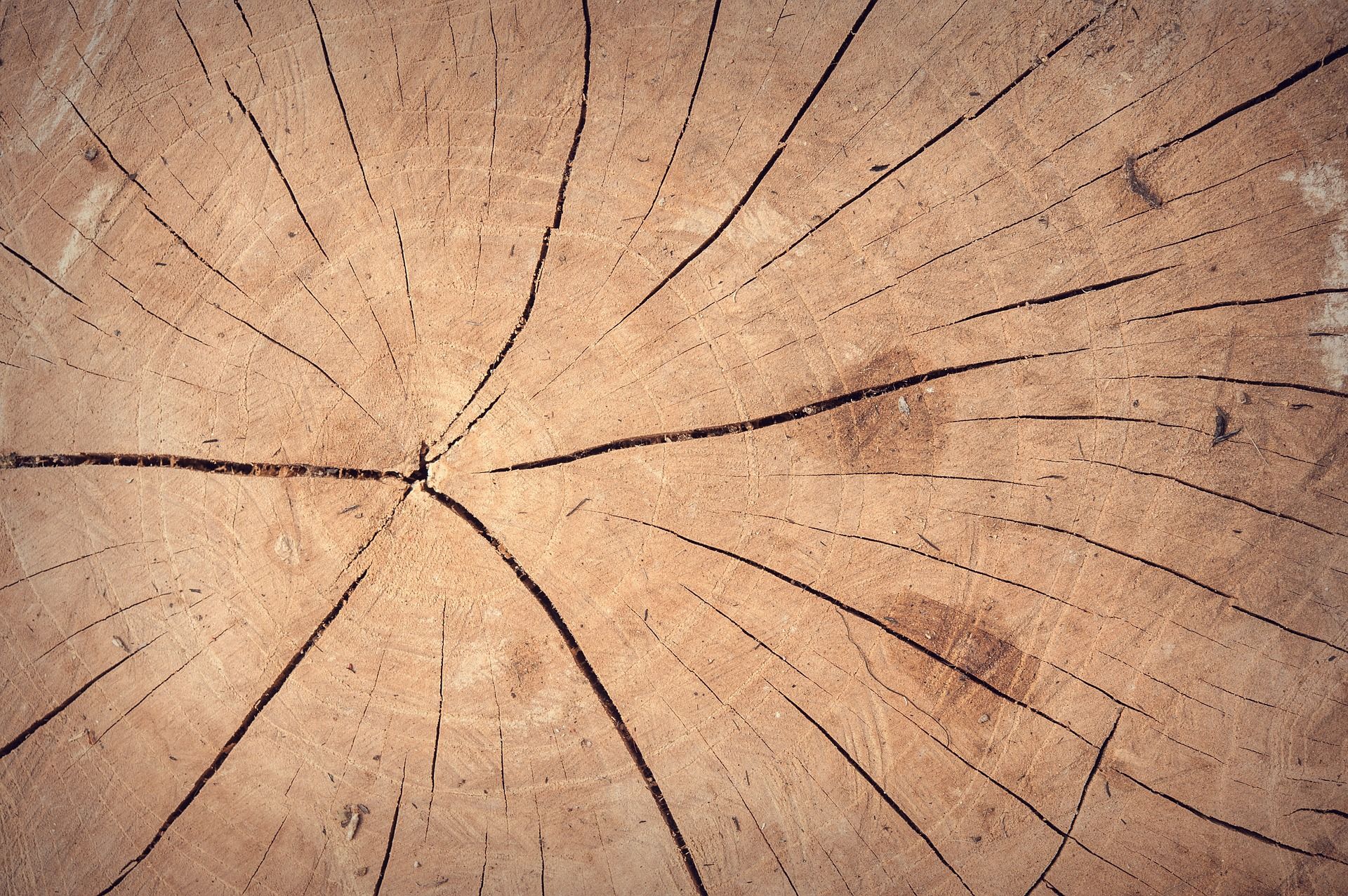 Holzbau Vogl in Bildern - Unsere Arbeit in Bildern