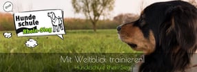 Anmeldung | Hundeschule Rhein-Sieg