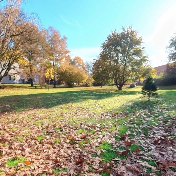 Aktuelle Neuigkeiten | Vöhrum Aktuell