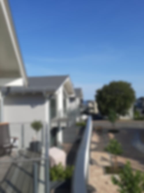 Ausblick Baum und Kap Arkona