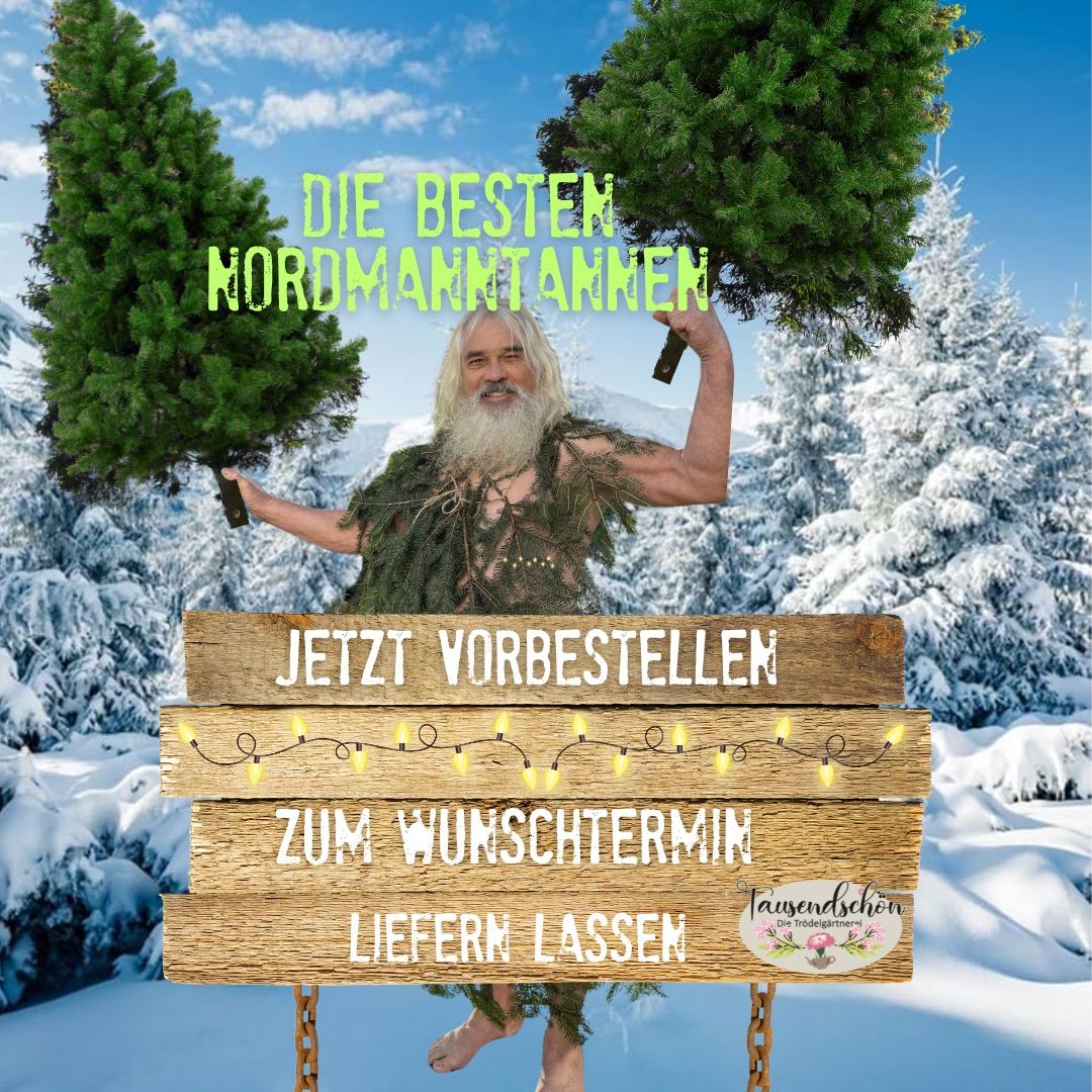 Weihnachtsbäume