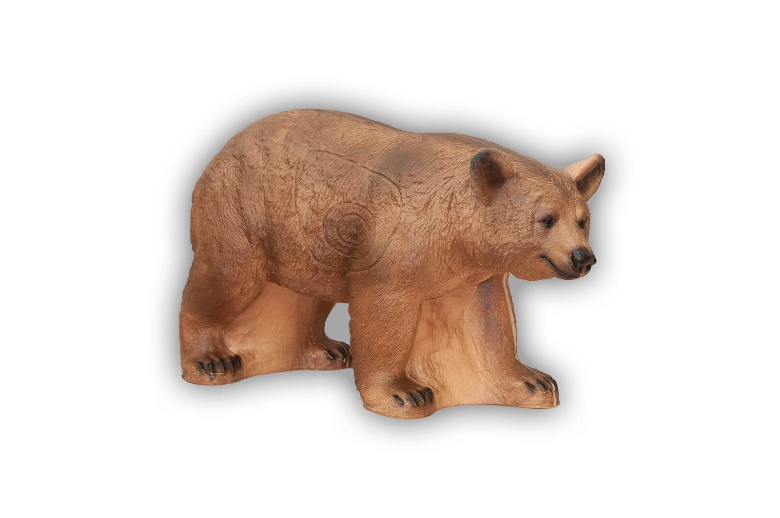 Braunbär