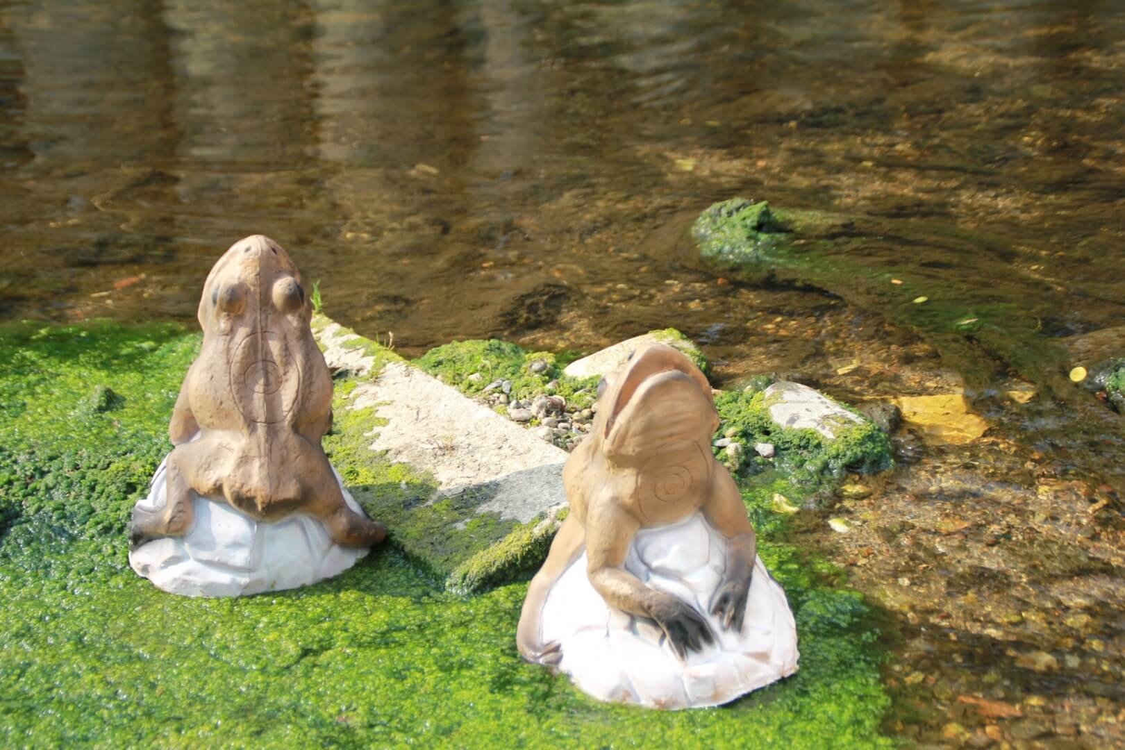 Kröte / Frösche